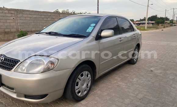 Tenga Tsaru Toyota Corolla Zvimwe Mota in Maputo in Maputo Tenga Tsaru Toyota Corolla Zvimwe Mota in Maputo in Maputo