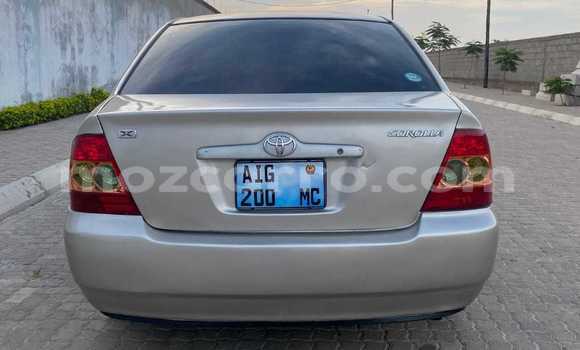 Tenga Tsaru Toyota Corolla Zvimwe Mota in Maputo in Maputo Tenga Tsaru Toyota Corolla Zvimwe Mota in Maputo in Maputo
