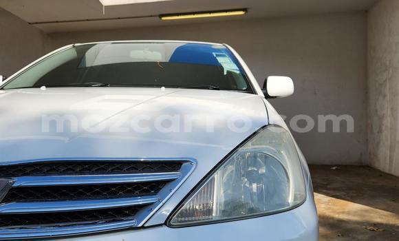 Tenga Tsaru Toyota Allion Chena Mota in Maputo in Maputo Tenga Tsaru Toyota Allion Chena Mota in Maputo in Maputo