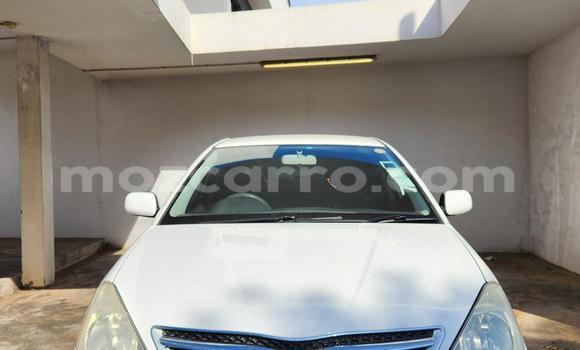 Tenga Tsaru Toyota Allion Chena Mota in Maputo in Maputo Tenga Tsaru Toyota Allion Chena Mota in Maputo in Maputo