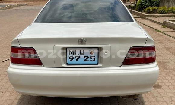 Tenga Tsaru Toyota 4Runner Chena Mota in Maputo in Maputo Tenga Tsaru Toyota 4Runner Chena Mota in Maputo in Maputo