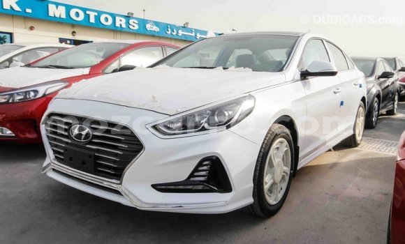 Buy Import Hyundai Sonata White Car in Import - Dubai in Cabo Delgado Buy Import Hyundai Sonata White Car in Import - Dubai in Cabo Delgado