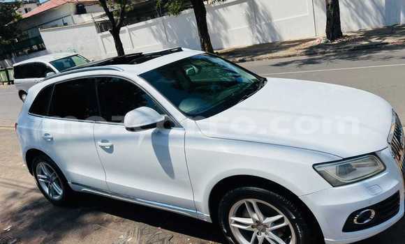 Tenga Tsaru Audi Q5 Chena Mota in Maputo in Maputo Tenga Tsaru Audi Q5 Chena Mota in Maputo in Maputo
