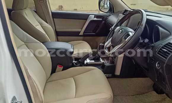 Tenga Tsaru Toyota Land Cruiser Prado Chena Mota in Maputo in Maputo Tenga Tsaru Toyota Land Cruiser Prado Chena Mota in Maputo in Maputo