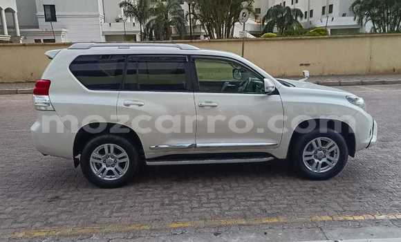 Tenga Tsaru Toyota Land Cruiser Prado Chena Mota in Maputo in Maputo Tenga Tsaru Toyota Land Cruiser Prado Chena Mota in Maputo in Maputo