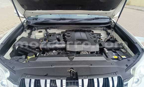 Tenga Tsaru Toyota Land Cruiser Prado Chena Mota in Maputo in Maputo Tenga Tsaru Toyota Land Cruiser Prado Chena Mota in Maputo in Maputo