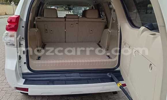 Tenga Tsaru Toyota Land Cruiser Prado Chena Mota in Maputo in Maputo Tenga Tsaru Toyota Land Cruiser Prado Chena Mota in Maputo in Maputo