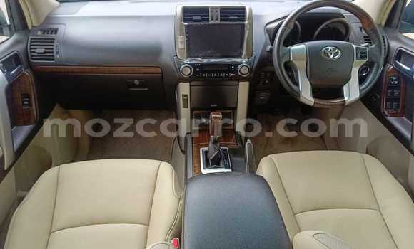 Tenga Tsaru Toyota Land Cruiser Prado Chena Mota in Maputo in Maputo Tenga Tsaru Toyota Land Cruiser Prado Chena Mota in Maputo in Maputo