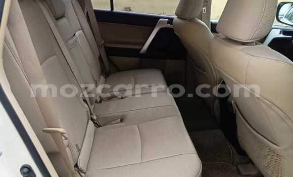 Tenga Tsaru Toyota Land Cruiser Prado Chena Mota in Maputo in Maputo Tenga Tsaru Toyota Land Cruiser Prado Chena Mota in Maputo in Maputo