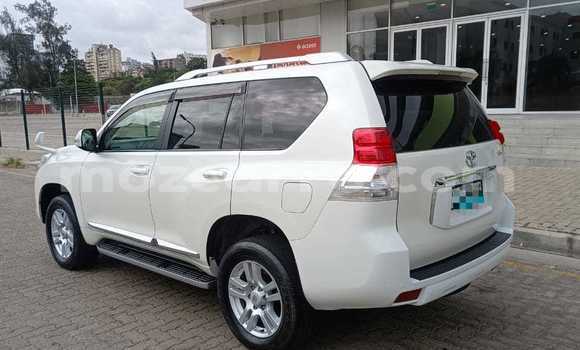 Tenga Tsaru Toyota Land Cruiser Prado Chena Mota in Maputo in Maputo Tenga Tsaru Toyota Land Cruiser Prado Chena Mota in Maputo in Maputo