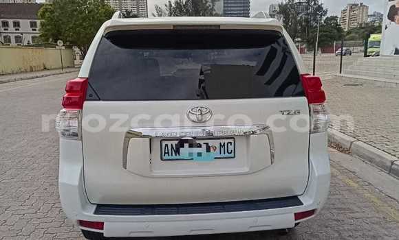 Tenga Tsaru Toyota Land Cruiser Prado Chena Mota in Maputo in Maputo Tenga Tsaru Toyota Land Cruiser Prado Chena Mota in Maputo in Maputo