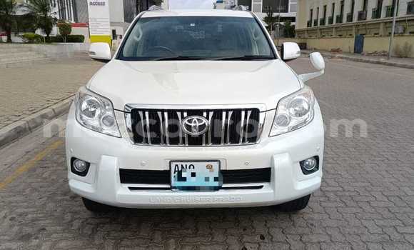 Tenga Tsaru Toyota Land Cruiser Prado Chena Mota in Maputo in Maputo Tenga Tsaru Toyota Land Cruiser Prado Chena Mota in Maputo in Maputo