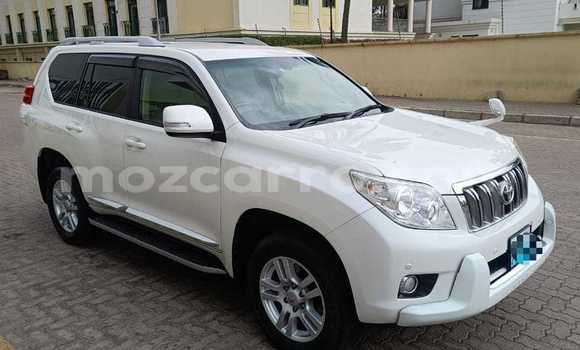 Tenga Tsaru Toyota Land Cruiser Prado Chena Mota in Maputo in Maputo Tenga Tsaru Toyota Land Cruiser Prado Chena Mota in Maputo in Maputo