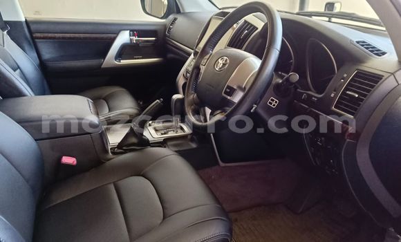 Tenga Itsva Toyota Land Cruiser Nhema Mota in Maputo in Maputo Tenga Itsva Toyota Land Cruiser Nhema Mota in Maputo in Maputo