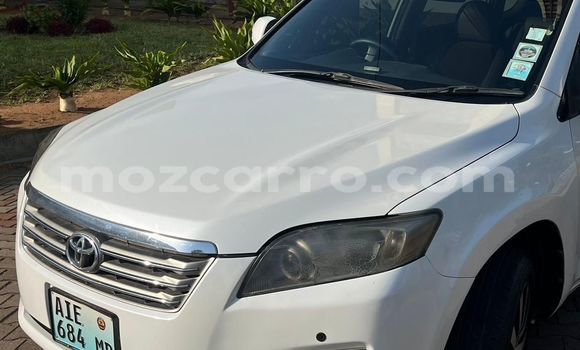 Tenga Tsaru Toyota Vanguard Chena Mota in Maputo in Maputo Tenga Tsaru Toyota Vanguard Chena Mota in Maputo in Maputo