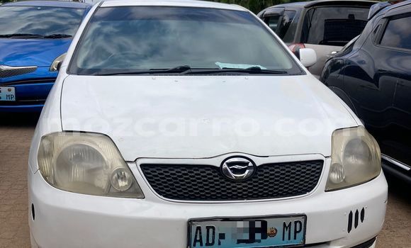 Buy Used Toyota Runx Silver Car in Maputo in Maputo Buy Used Toyota Runx Silver Car in Maputo in Maputo