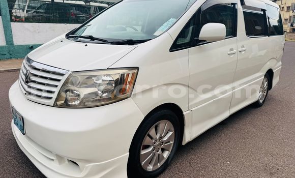 Tenga Tsaru Toyota Alphard Chena Mota in Maputo in Maputo Tenga Tsaru Toyota Alphard Chena Mota in Maputo in Maputo