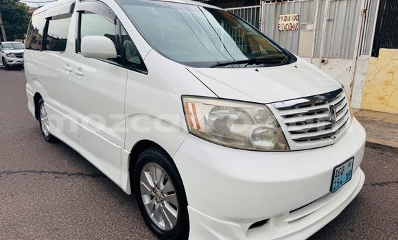Tenga Tsaru Toyota Alphard Chena Mota in Maputo in Maputo Tenga Tsaru Toyota Alphard Chena Mota in Maputo in Maputo