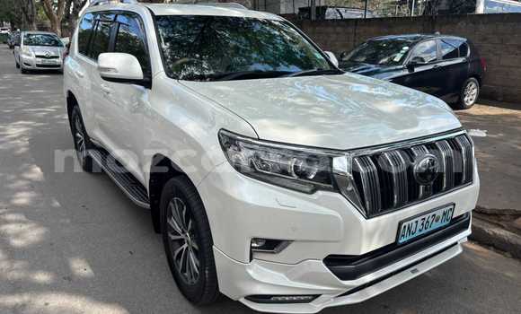 Nunua Mpya Toyota Prado Nyeupe Gari ndani ya Maputo nchini Maputo