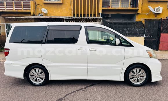 Tenga Tsaru Toyota Alphard Chena Mota in Maputo in Maputo Tenga Tsaru Toyota Alphard Chena Mota in Maputo in Maputo