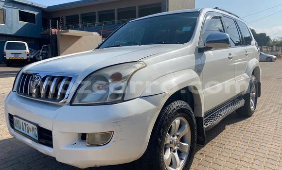 Comprar Usado Toyota Land Cruiser Prado Branco Carro em Maputo em Maputo
