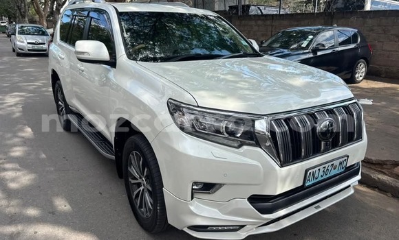 Comprar Novo Toyota Land Cruiser Prado Branco Carro em Maputo em Maputo Comprar Novo Toyota Land Cruiser Prado Branco Carro em Maputo em Maputo