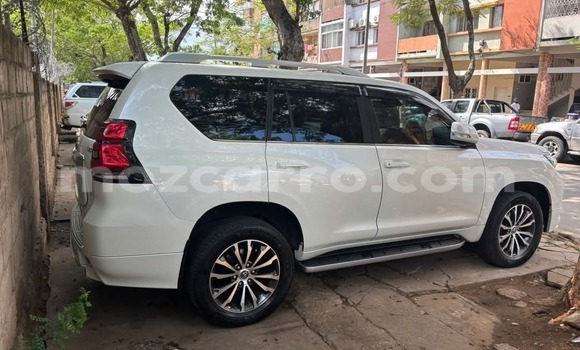 Comprar Novo Toyota Land Cruiser Prado Branco Carro em Maputo em Maputo Comprar Novo Toyota Land Cruiser Prado Branco Carro em Maputo em Maputo