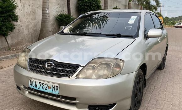 Tenga Tsaru Toyota Corolla Bhurawuni Mota in Maputo in Maputo Tenga Tsaru Toyota Corolla Bhurawuni Mota in Maputo in Maputo