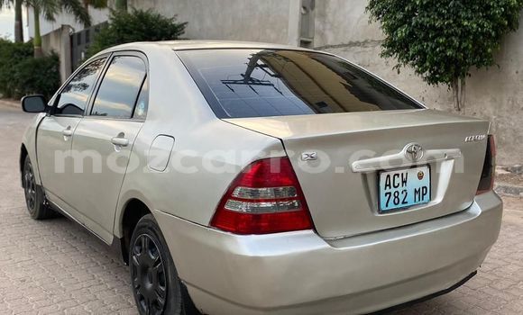 Tenga Tsaru Toyota Corolla Bhurawuni Mota in Maputo in Maputo Tenga Tsaru Toyota Corolla Bhurawuni Mota in Maputo in Maputo