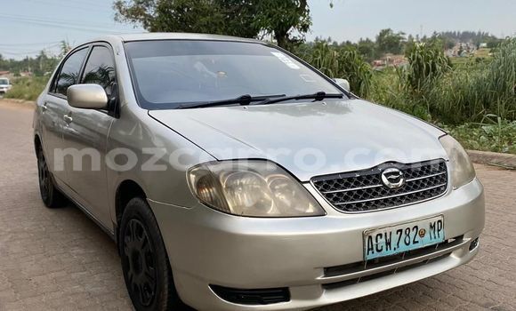 Tenga Tsaru Toyota Corolla Bhurawuni Mota in Maputo in Maputo Tenga Tsaru Toyota Corolla Bhurawuni Mota in Maputo in Maputo
