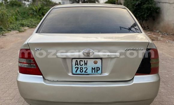 Tenga Tsaru Toyota Corolla Bhurawuni Mota in Maputo in Maputo Tenga Tsaru Toyota Corolla Bhurawuni Mota in Maputo in Maputo