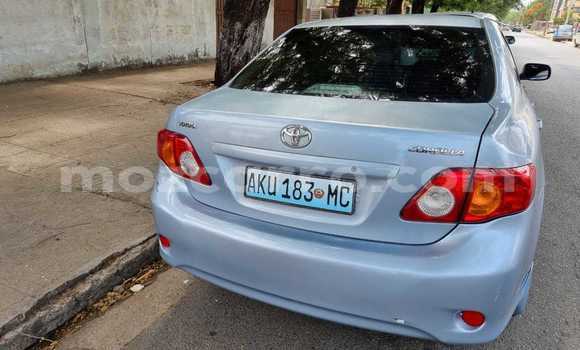 Buy Used Toyota Corolla Other Car in Maputo in Maputo Buy Used Toyota Corolla Other Car in Maputo in Maputo