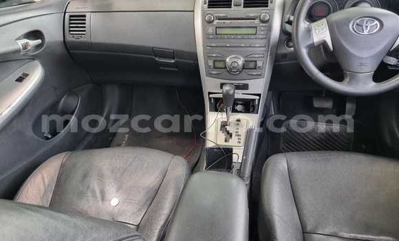 Buy Used Toyota Corolla Other Car in Maputo in Maputo Buy Used Toyota Corolla Other Car in Maputo in Maputo