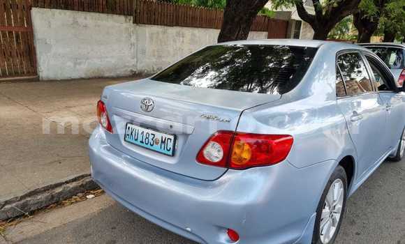 Buy Used Toyota Corolla Other Car in Maputo in Maputo Buy Used Toyota Corolla Other Car in Maputo in Maputo