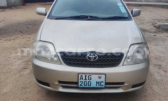 Buy Used Toyota Corolla Silver Car in Maputo in Maputo