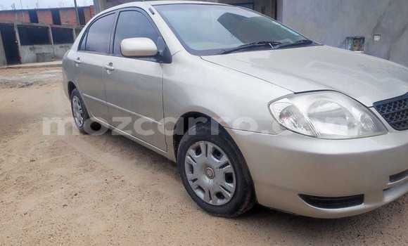Nunua Ilio tumika Toyota Corolla Fedha Gari ndani ya Maputo nchini Maputo Nunua Ilio tumika Toyota Corolla Fedha Gari ndani ya Maputo nchini Maputo