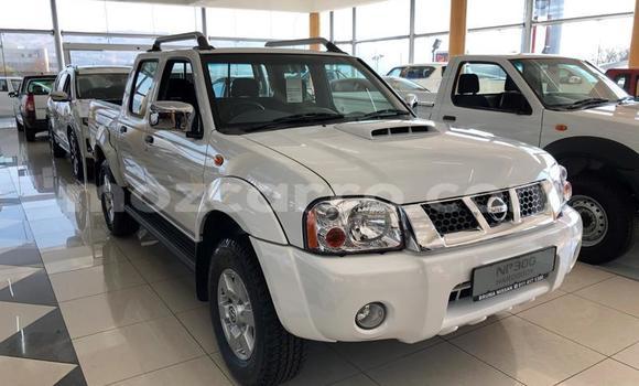 Comprar Usado Nissan NP 300 Branco Carro em Gilé em Zambezia Comprar Usado Nissan NP 300 Branco Carro em Gilé em Zambezia