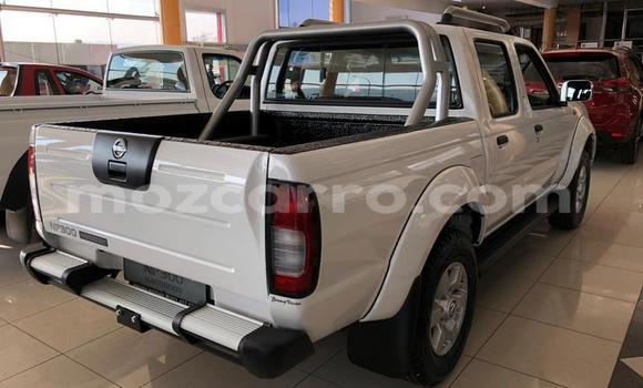 Comprar Usado Nissan NP 300 Branco Carro em Gilé em Zambezia Comprar Usado Nissan NP 300 Branco Carro em Gilé em Zambezia