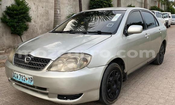 Comprar Usado Toyota Corolla De outros Carro em Maputo em Maputo Comprar Usado Toyota Corolla De outros Carro em Maputo em Maputo