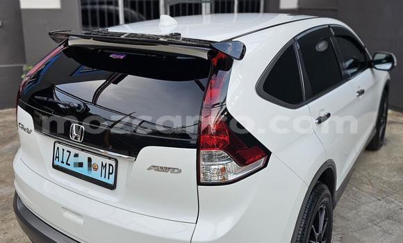 Comprar Novo Honda CR-V Branco Carro em Maputo em Maputo Comprar Novo Honda CR-V Branco Carro em Maputo em Maputo