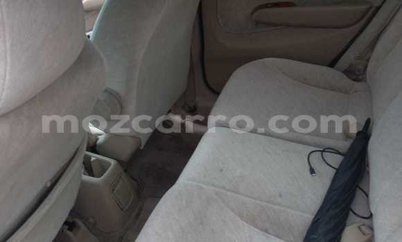 Tenga Tsaru Honda Fit Zvimwe Mota in Maputo in Maputo Tenga Tsaru Honda Fit Zvimwe Mota in Maputo in Maputo