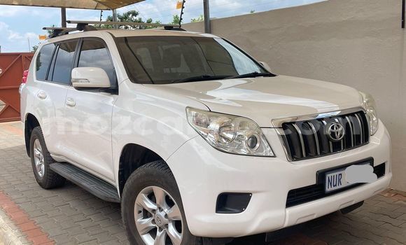 Tenga Tsaru Toyota Prado Chena Mota in Maputo in Maputo