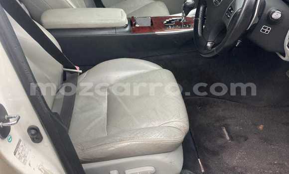 Tenga Tsaru Lexus IS Chena Mota in Maputo in Maputo Tenga Tsaru Lexus IS Chena Mota in Maputo in Maputo