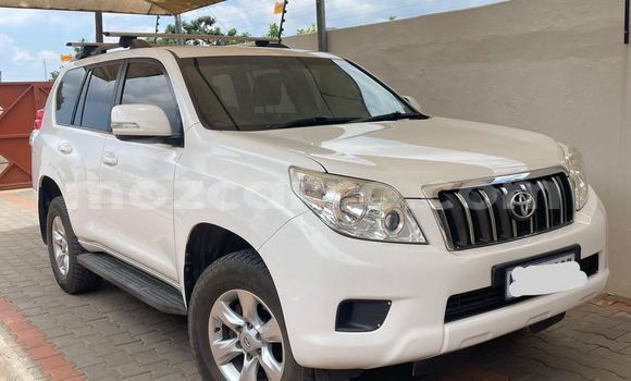 Buy Used Toyota Land Cruiser Prado White Car in Maputo in Maputo Buy Used Toyota Land Cruiser Prado White Car in Maputo in Maputo