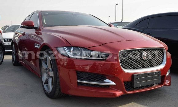 Comprar Importar Jaguar XE Vermelho Carro em Import - Dubai em Cabo Delgado