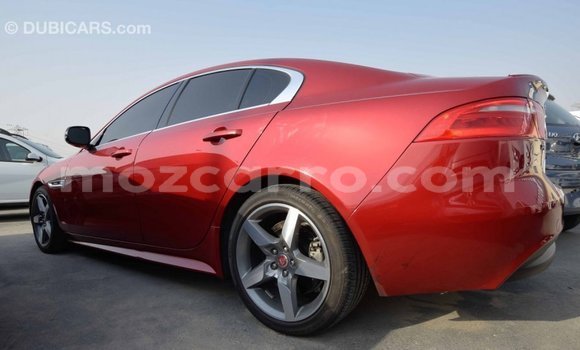 Comprar Importar Jaguar XE Vermelho Carro em Import - Dubai em Cabo Delgado Comprar Importar Jaguar XE Vermelho Carro em Import - Dubai em Cabo Delgado