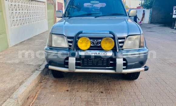 Nunua Ilio tumika Toyota Prado Nyingine Gari ndani ya Maputo nchini Maputo Nunua Ilio tumika Toyota Prado Nyingine Gari ndani ya Maputo nchini Maputo