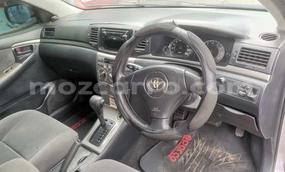 Nunua Ilio tumika Toyota Runx Fedha Gari ndani ya Maputo nchini Maputo Nunua Ilio tumika Toyota Runx Fedha Gari ndani ya Maputo nchini Maputo