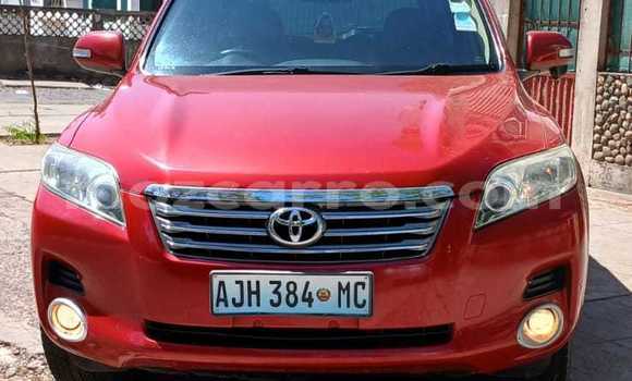Buy Used Toyota Vanguard Red Car in Maputo in Maputo Buy Used Toyota Vanguard Red Car in Maputo in Maputo