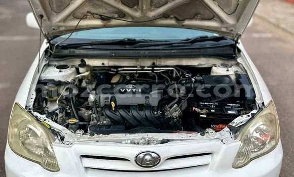 Buy Used Toyota Runx White Car in Maputo in Maputo Buy Used Toyota Runx White Car in Maputo in Maputo